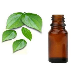 betel leaf oil