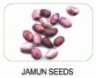 jamun seeds