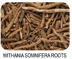 withania somnifera roots