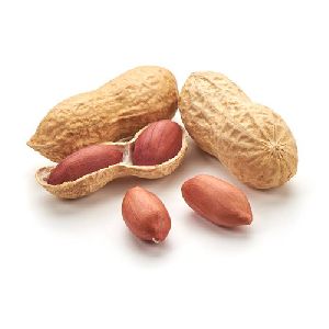 Shelled Peanuts