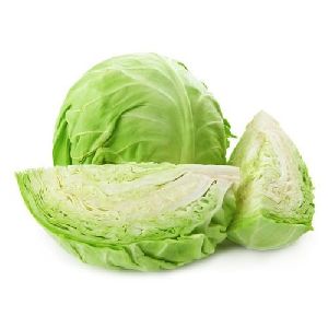 fresh cabbage