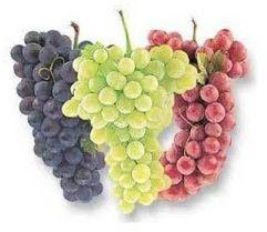 Fresh Grapes