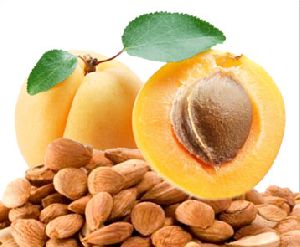 100% Natural Apricot Seeds