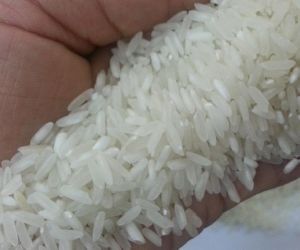 Premium Quality Long Grain 5% Broken White Rice