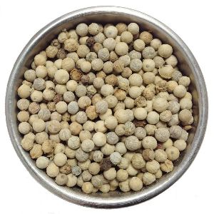 Top Quality White Pepper Seeds