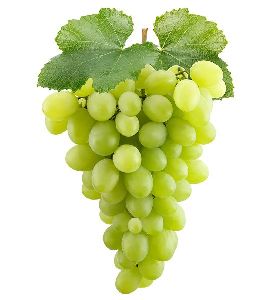 fresh green grapes