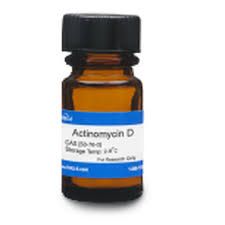 Actinomycin D