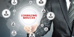 Consulting Services