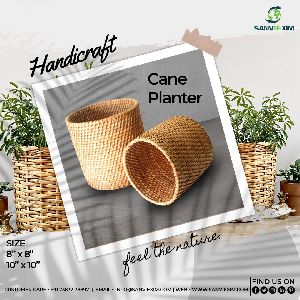Cane Planter, Wooden Tree Planter