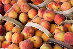 Fresh Peaches