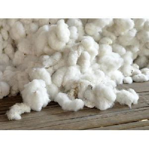 Natural Raw Cotton