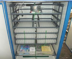 Automatic Egg Incubator