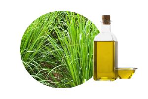 Organic Palmarosa Oil, For Medicine Use, Form : Liquid