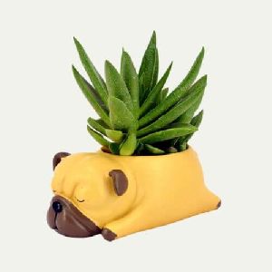 Bull Dog Resin Flower Pot