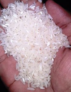 Rice Seed