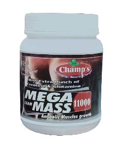 Mega Lean Mass 11000 (500g)