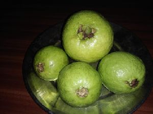 Fresh Baruipur Guava