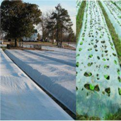 non woven agriculture fabrics