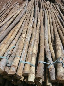 bamboo poles