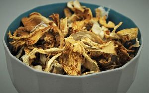 Dried Oyster Mushroom