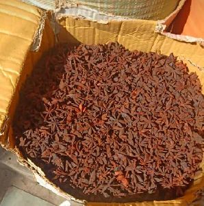 Dried Star Anise Seeds