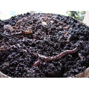 Organic Compost Fertilizer
