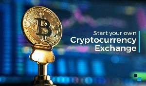 Start a Crypto Exchange