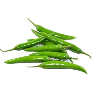 fresh green chilli