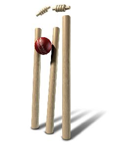 cricket wicket