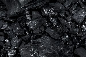 bio coal