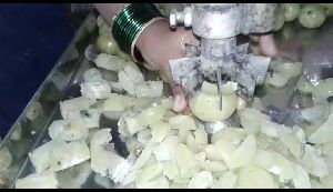 amla cutting machine