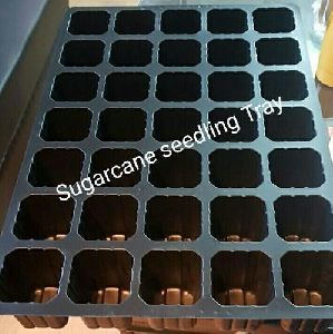35 Hole Sugarcane Seedling Trays