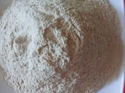 Chitosan Powder