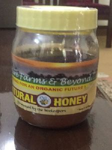Liquid Organic Honey