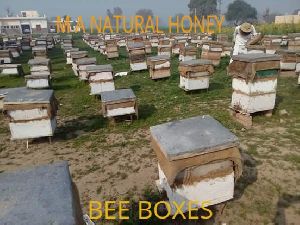 Bees Boxes