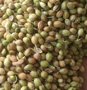 organic coriander seeds