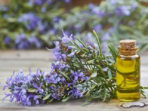 rosemary oil