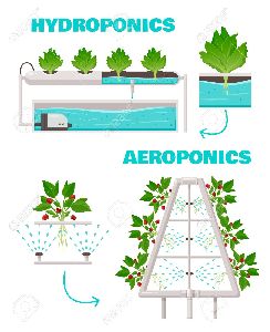 Aeroponics growing system