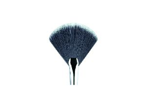 Makeup Fan Brush