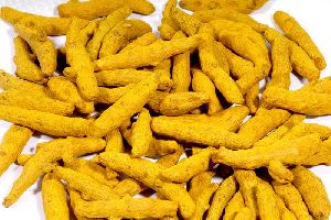 dried turmeric finger