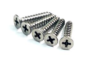 Stainless Steel Screws