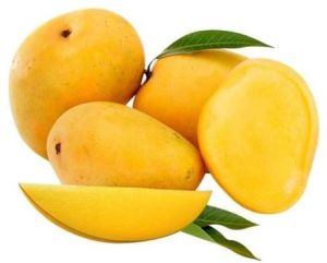 Fresh Chaunsa Mango