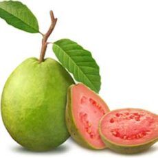 Pink Pulp Guava