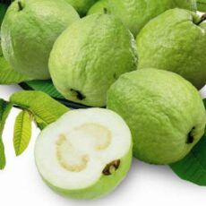 White Pulp Guava