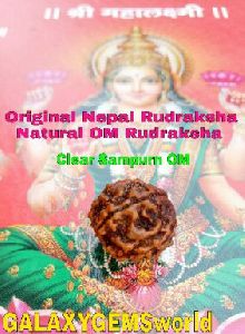 Original Natural OM Nepal Rudraksha
