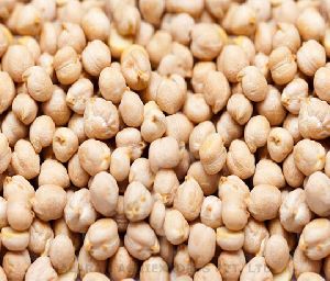 Chick Peas