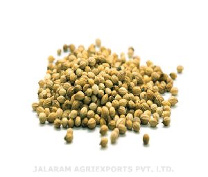 coriander seeds