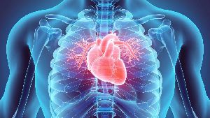 Stem Cell Therapy for Cardiovascular Disease