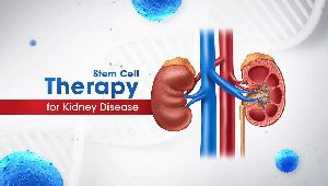 Stem Cell Therapy for Kidney Disease