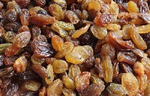 Malayar Raisins